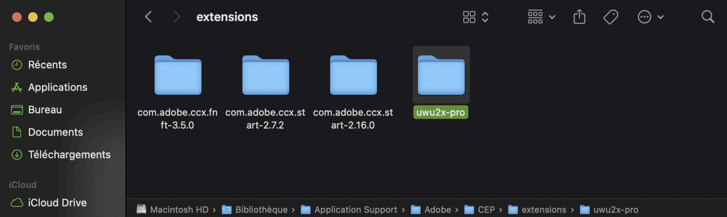 extensions folder