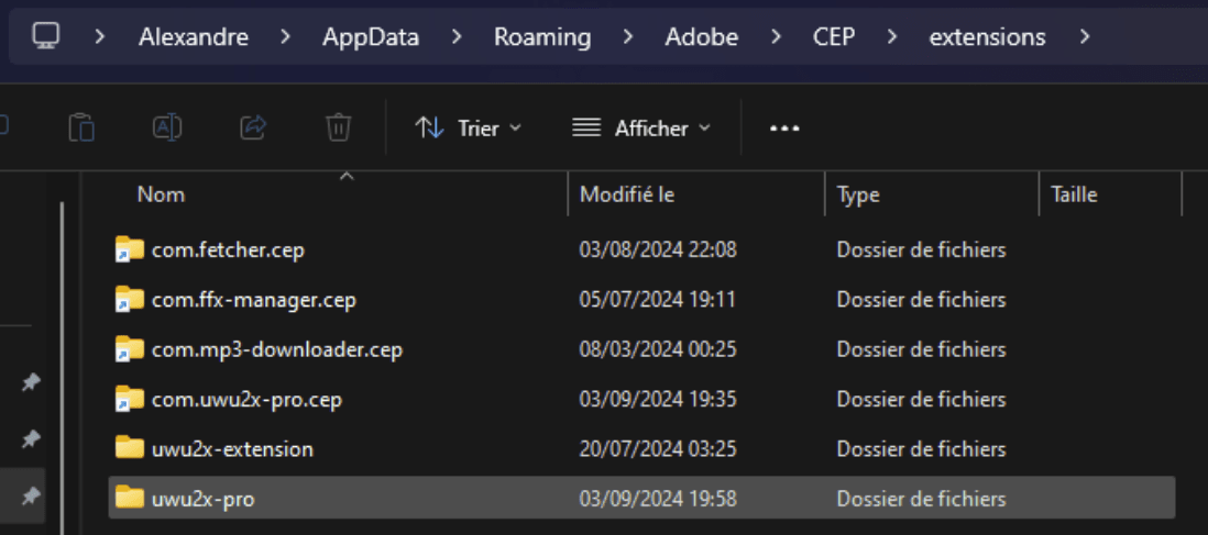 extensions folder